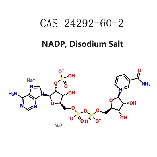 NADP, Disodium Salt