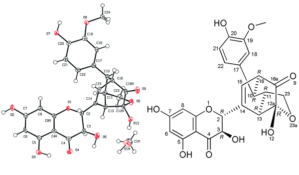 Silydianin