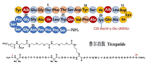 替爾泊肽 分子結(jié)構(gòu)