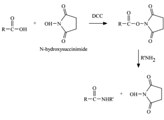 N-Hydroxysuccinimide