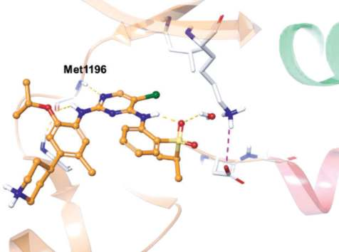 Figure 3. Co-crystal structure of ceritinib in complex with ALK (PDB ID: 4MKC). Figure 3. Co-crystal structure of ceritinib in complex with ALK (PDB ID: 4MKC).