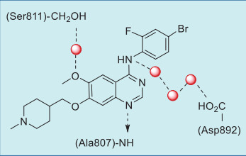 Figure 4. Summary of selpercatinib–RET interactions based on their co-crystal structure.