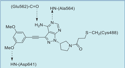 Figure 2. Summary of futibatinib–FGFR1  interactions based on the co-crystal structure.