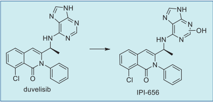 Metabolic pathway of duvelisib in humans