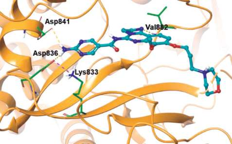 Figure 1. X-ray crystal structure of copanlisib bound  to PI3Kγ (PDB ID: 5G2N).