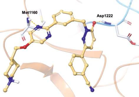 Figure 1. Co-crystal structure of tepotinib in complex  with MET (PDB ID: 4R1V).