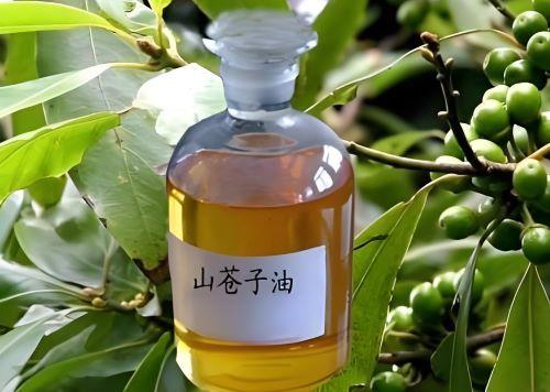 山蒼子油.jpg