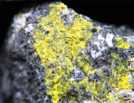 greenockite