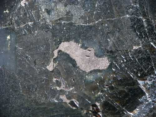 FIGURE 3. A polished slab showing the large crystal grains of ultramafic rock, Numerous metallic crystals measuring from 1 to 5 mm are braggite, (Pt,Pd,Ni)S, crystals.