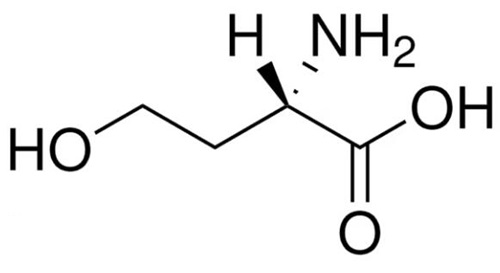 非蛋白氨基酸——L-高絲氨酸