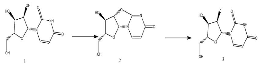 2'-氟-2'-脫氧尿苷的合成.png