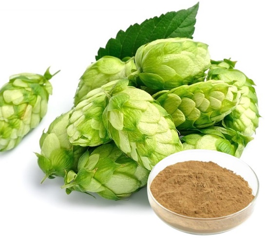 Hops Extract