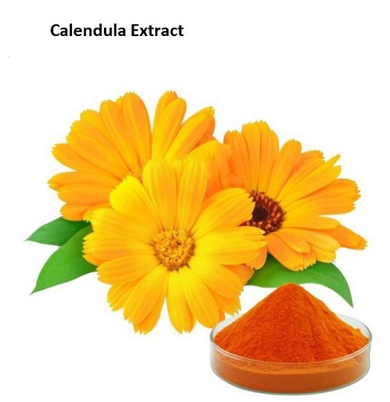 金盞花(CALENDULA OFFICINALIS)花提取物