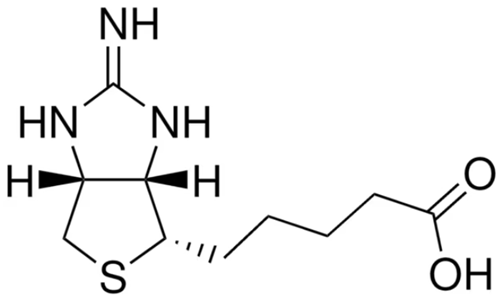 2-亞氨基生物素