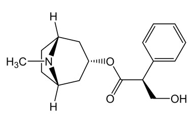 莨菪堿的性質(zhì)與提取方法