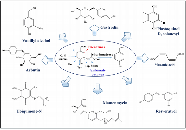 4-Hydroxybenzoic acid