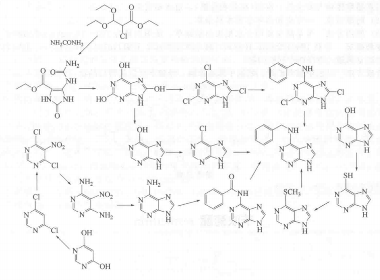 6-芐氨基嘌呤的合成路線