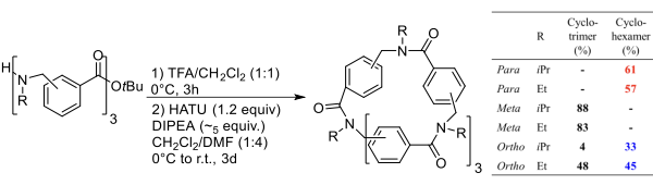 Cyclisation of ortho-, meta- and para-arylopeptoids