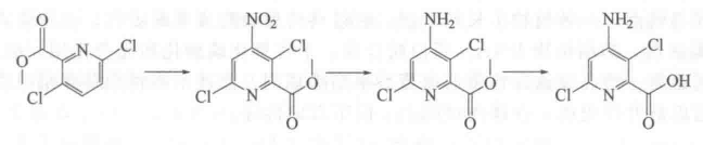 4-氨基-3,6-二氯吡啶-2-甲酸的合成