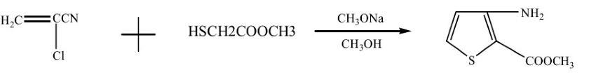 3-氨基-2-噻吩甲酸甲酯的合成.jpg