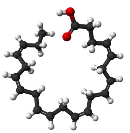 二十二碳六烯酸的球棍模型