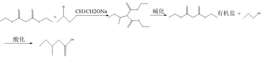 3-甲基戊酸的合成.png