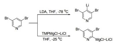 二氯化鎂(2,2,6,6-四甲基哌啶)鋰鹽在 C—H 鍵鎂化反應(yīng)中的應(yīng)用-2.jpg