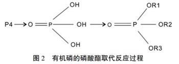 有機磷的磷酸酯取代反應過程.jpg