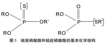 硫逐磷酸酯和硫趕磷酸酯的基本化學結構.jpg