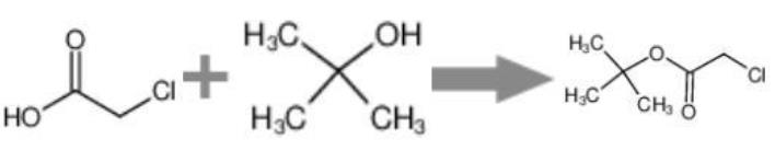 圖1 氯乙酸叔丁酯的合成反應(yīng)式.png