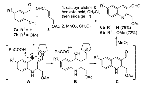 Scheme 1. Construction of Quinoline Precursors 6 by Pyrrolidine-Catalyzed Michael Addition-Aldol Condensation Cascade Reaction