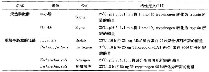 腸激酶的結(jié)構(gòu)特性