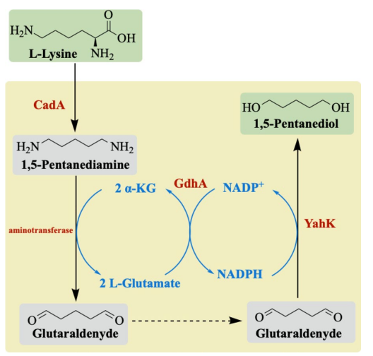 Fig 1.Synthesis of 1,5-Pentanediol