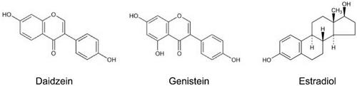 Structure of isoflavones and estradiol.png
