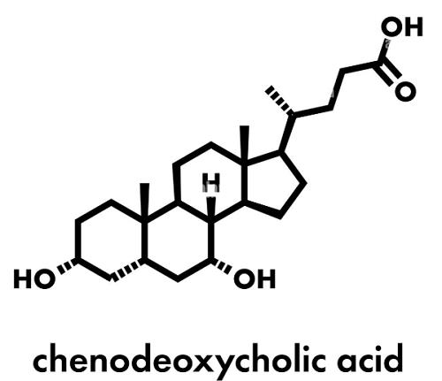 Chemical Structure of Chenodeoxycholic acid.png