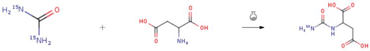 尿素(N15標記)的合成應用2.png