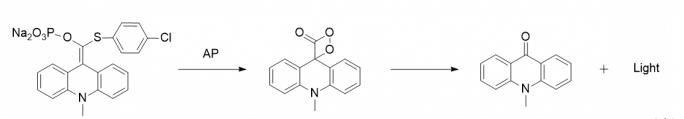 APS-5分解產(chǎn)生光子過(guò)程