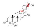 Cycloastragenol