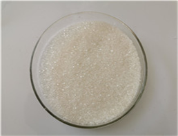 PROCAINAMIDE HYDROCHLORIDE