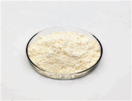  Isoprenaline hydrochloride