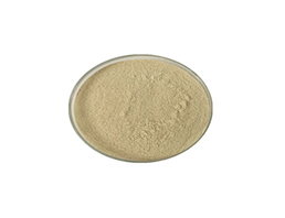 Food Addictive Tannase Powder