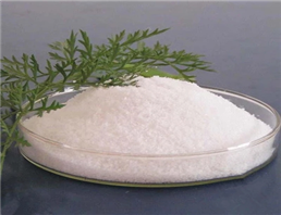 Atropine sulfate monohydrate