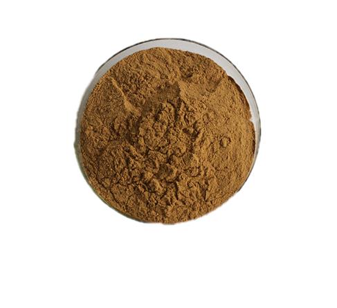 natural Corydalis Yanhusuo Extract 