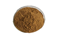 natural Corydalis Yanhusuo Extract 