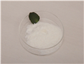 Dimethyl fumarate