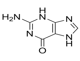 Guanine