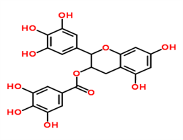 tea polyphenol