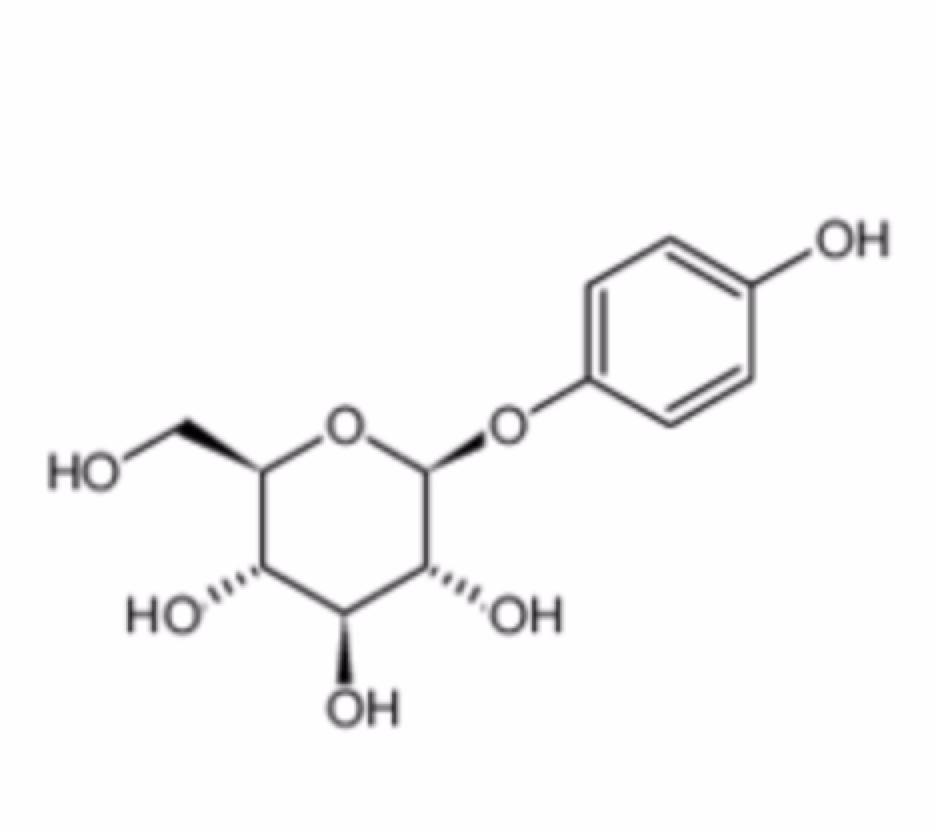 β -arbutin