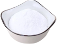 Dimethylprocaine