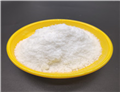 Sodium Stearyl Fumarate